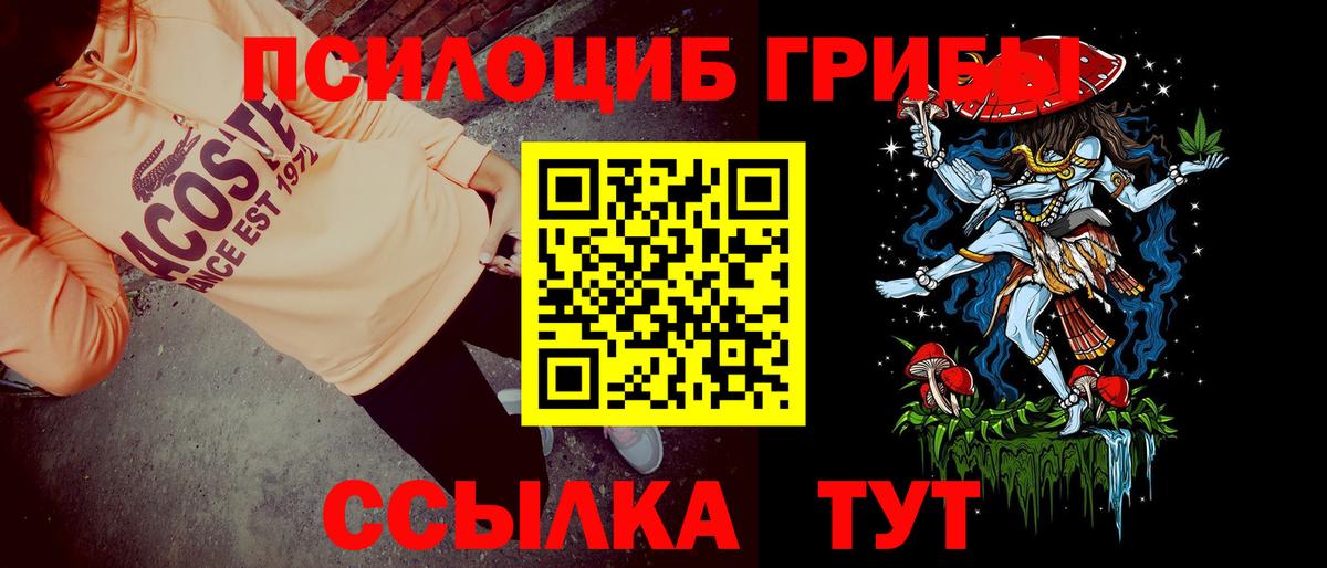 Галлюциногенные грибы Psilocybe Каспийск