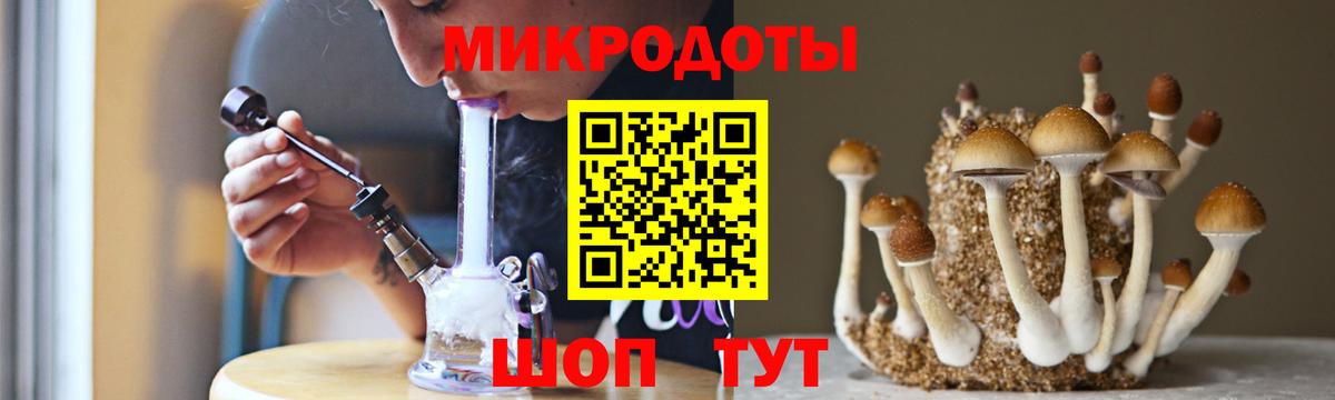 Галлюциногенные грибы Psilocybe  Псилоцибиновые грибы Psilocybe  Каспийск  Вход с VPN 